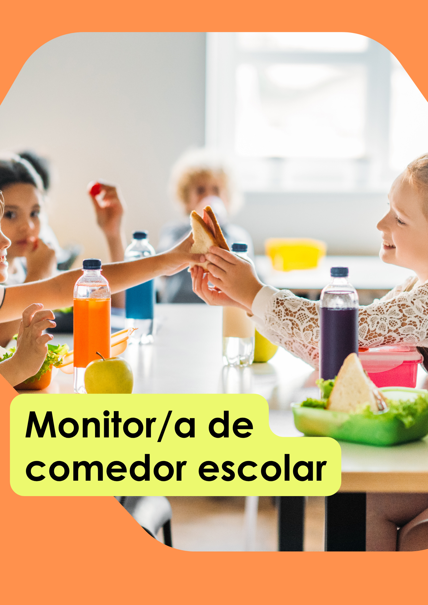 Curso